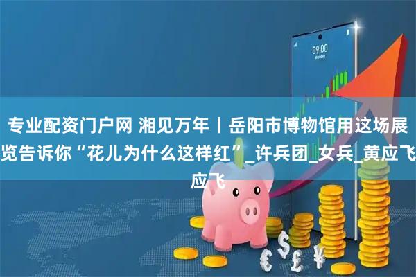 专业配资门户网 湘见万年丨岳阳市博物馆用这场展览告诉你“花儿为什么这样红”_许兵团_女兵_黄应飞